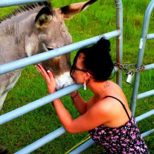 A woman is kissing the head of a donkey.