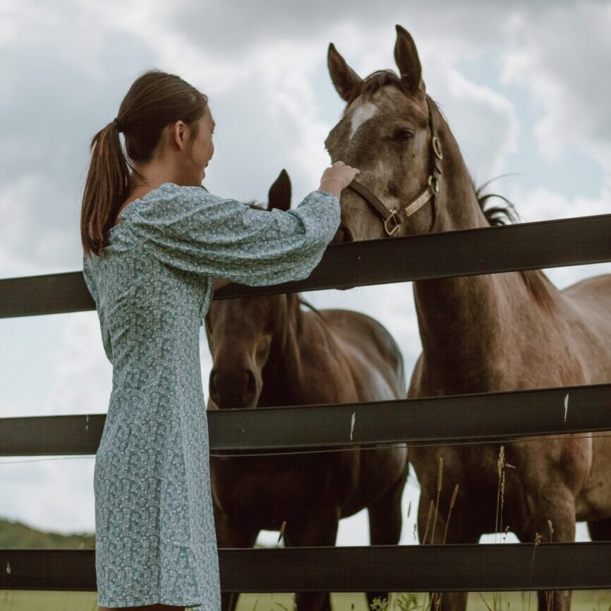 A woman standing next to two horses in a field.